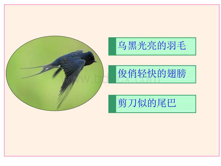 苏教版五年级语文第9册习作6PPT推荐.ppt_第2页