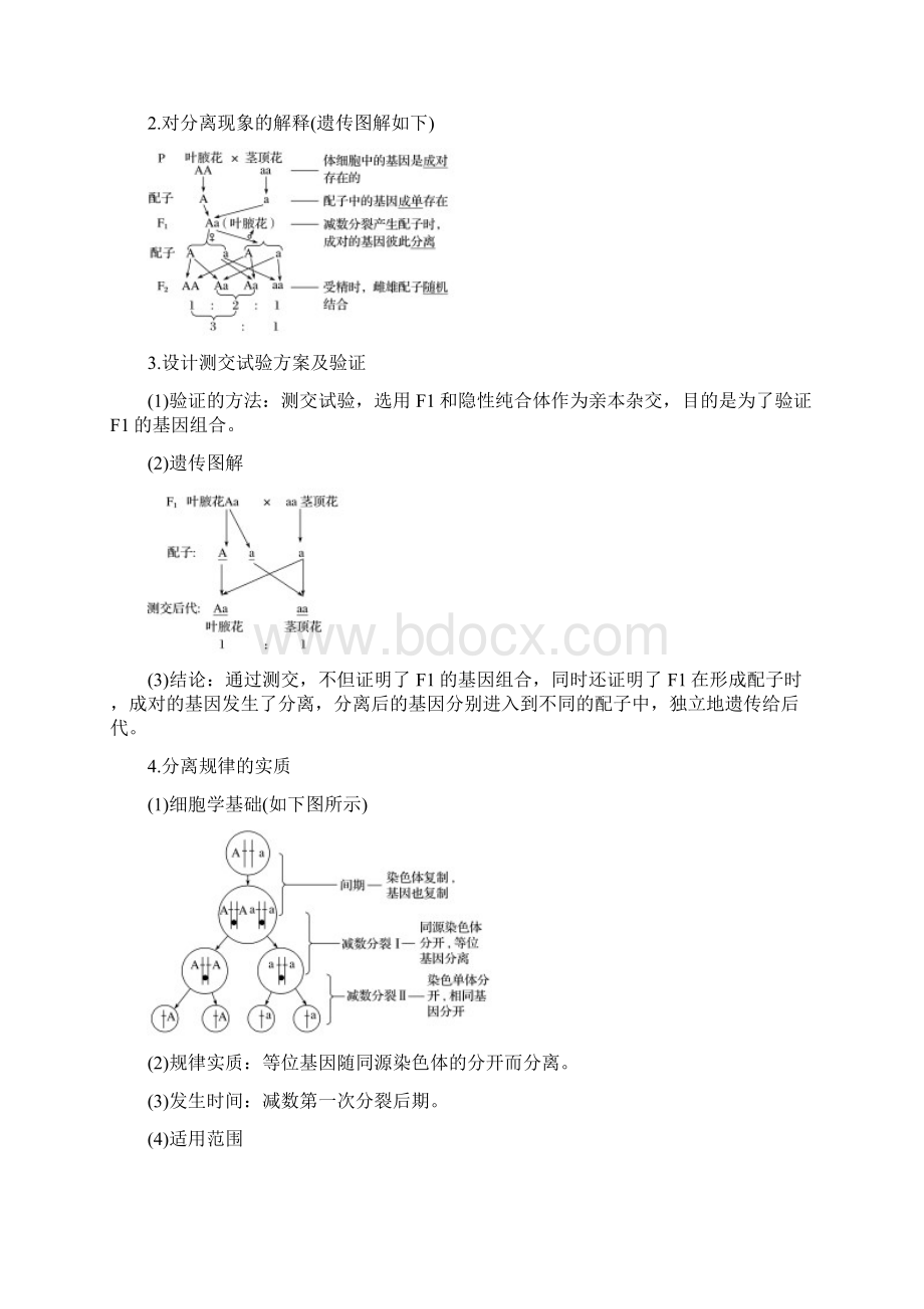 K12学习版生物高考大一轮复习 第六单元 遗传信息的传递规律 第六单元 第17讲 基因的文档格式.docx_第2页