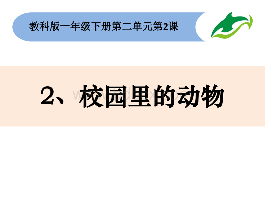 科教版一年级下册科学第二单元2、校园里的动物.pptx_第1页