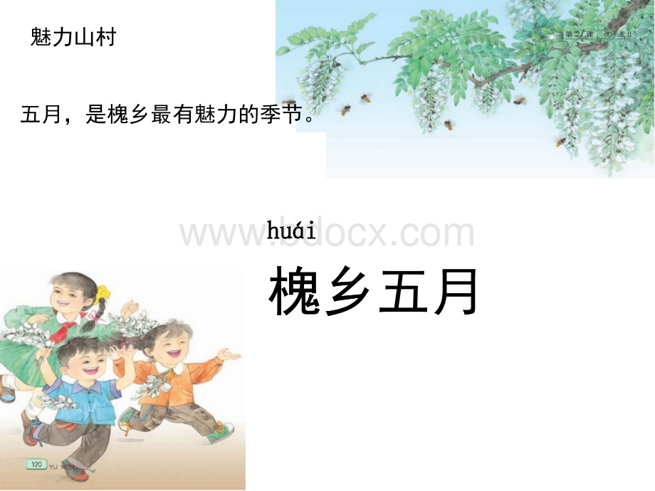 苏教版三下21《槐乡五月》课件.ppt_第1页