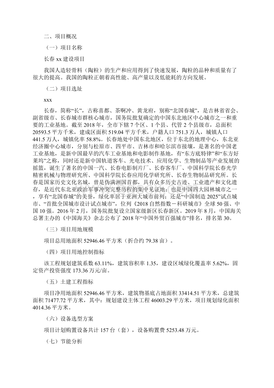 长春项目实施方案项目说明模板Word下载.docx_第3页