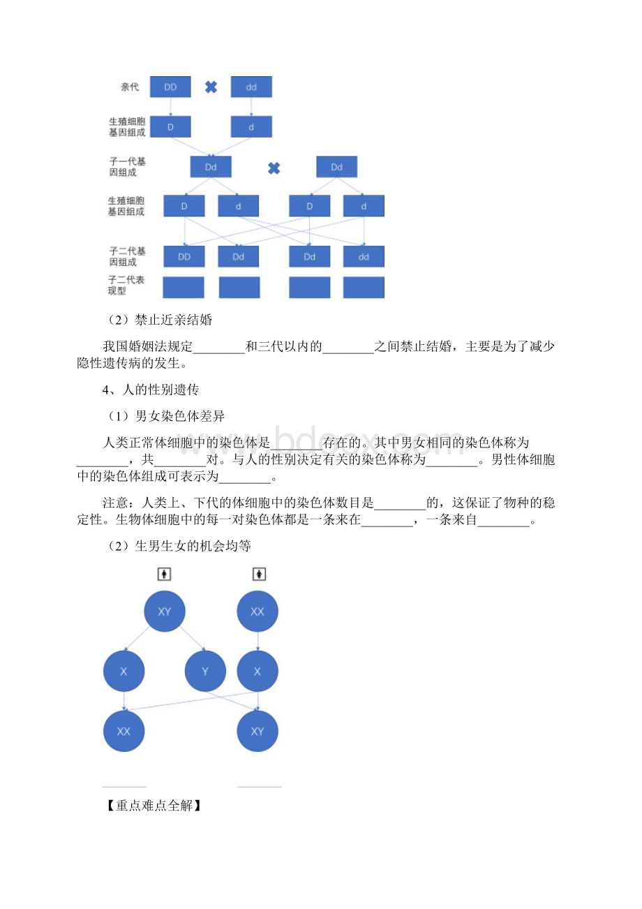 八上济南版生物 生物的遗传与变异专题复习 SV.docx_第2页