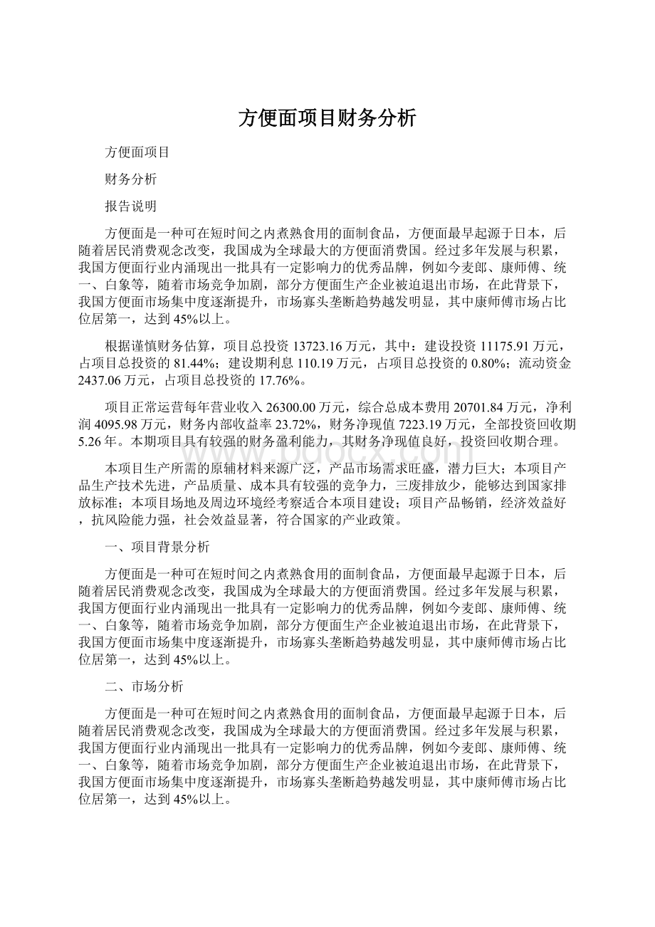 方便面项目财务分析Word文件下载.docx