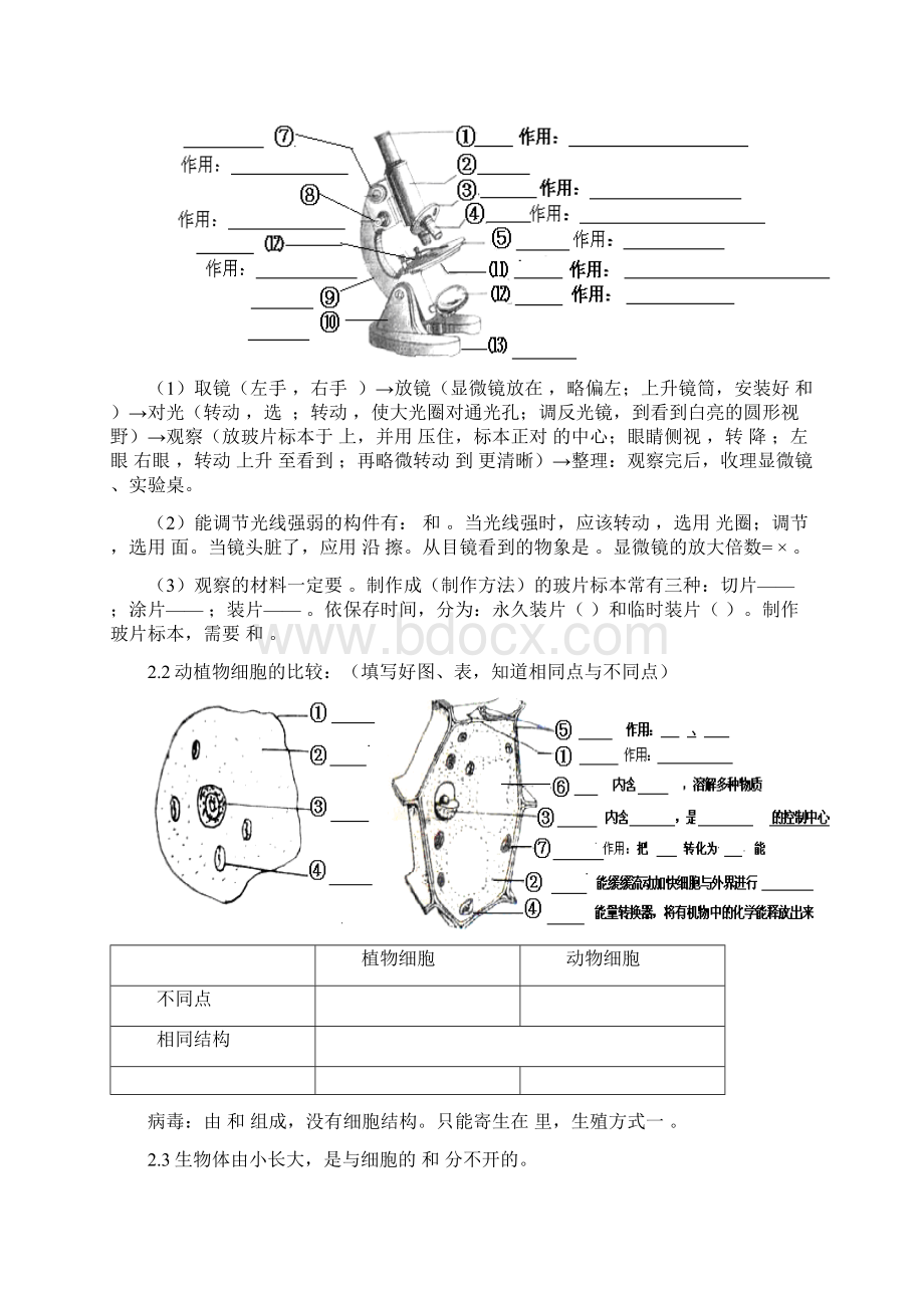 精品初中生物中考总复习重要知识点图表等人教版1Word格式.docx_第3页