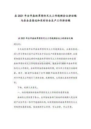 在2021年全市森林草原防灭火工作视频会议讲话稿与在全县春运和农村安全生产工作讲话稿.docx