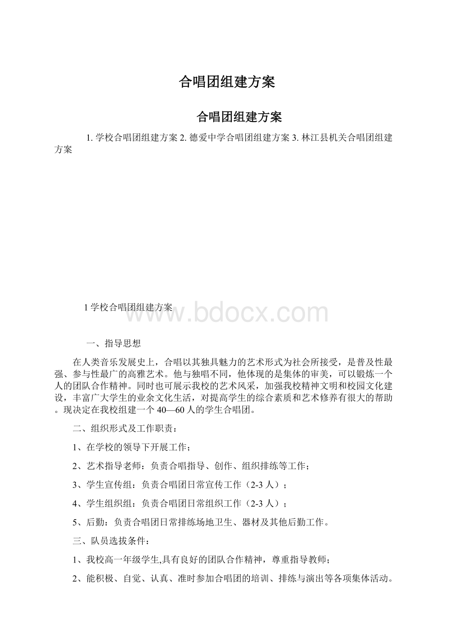 合唱团组建方案Word文档下载推荐.docx