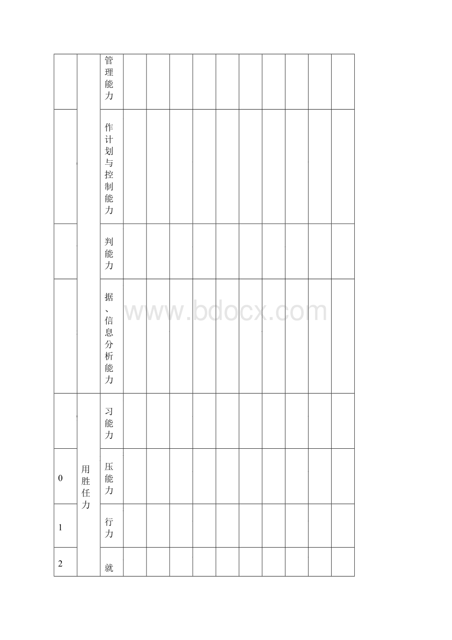 实用参考供应链总监胜任力模型Word文档格式.docx_第2页