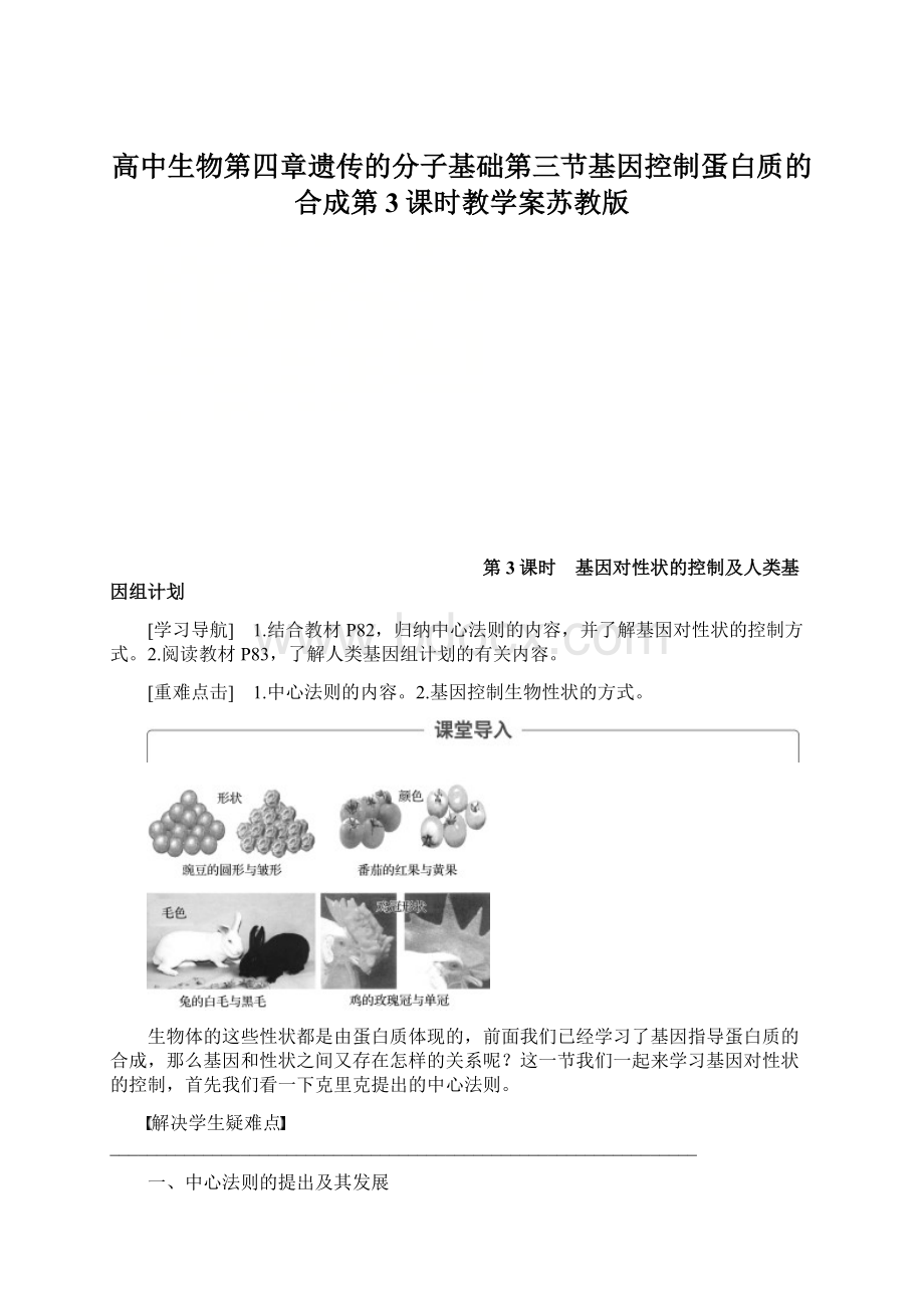 高中生物第四章遗传的分子基础第三节基因控制蛋白质的合成第3课时教学案苏教版.docx