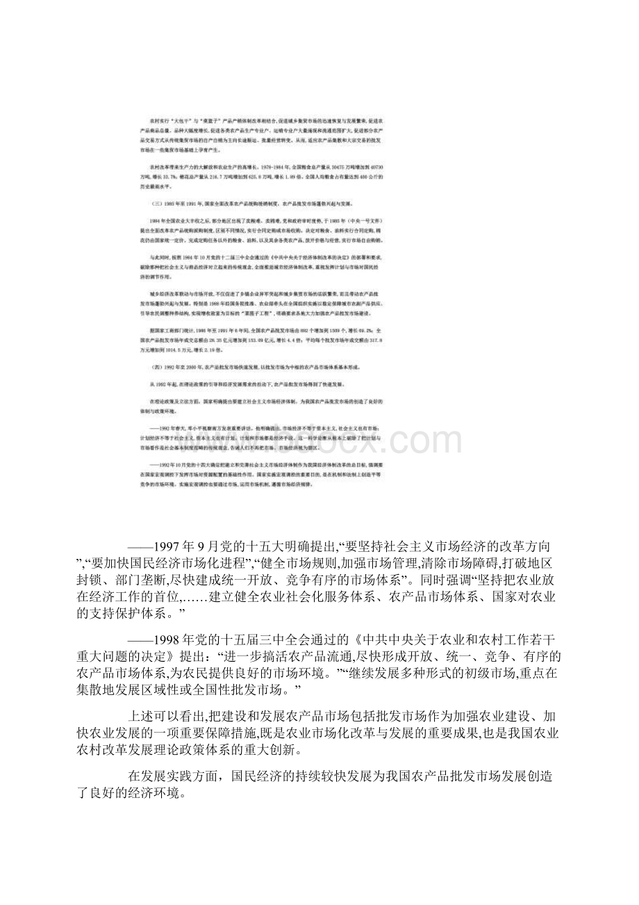 中国农产品批发市场发展总报告农业部.docx_第3页