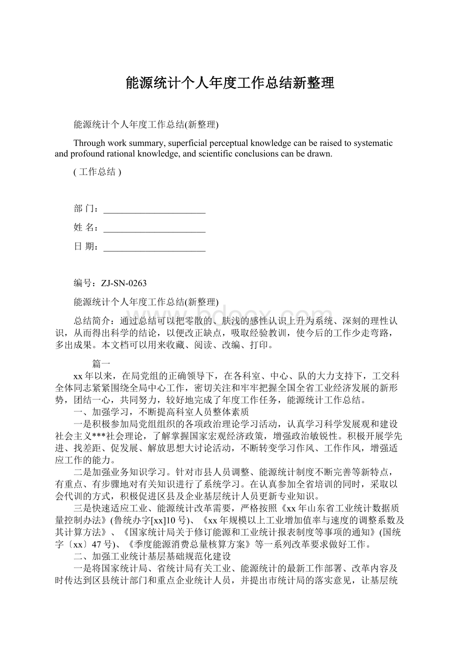 能源统计个人年度工作总结新整理Word文档格式.docx