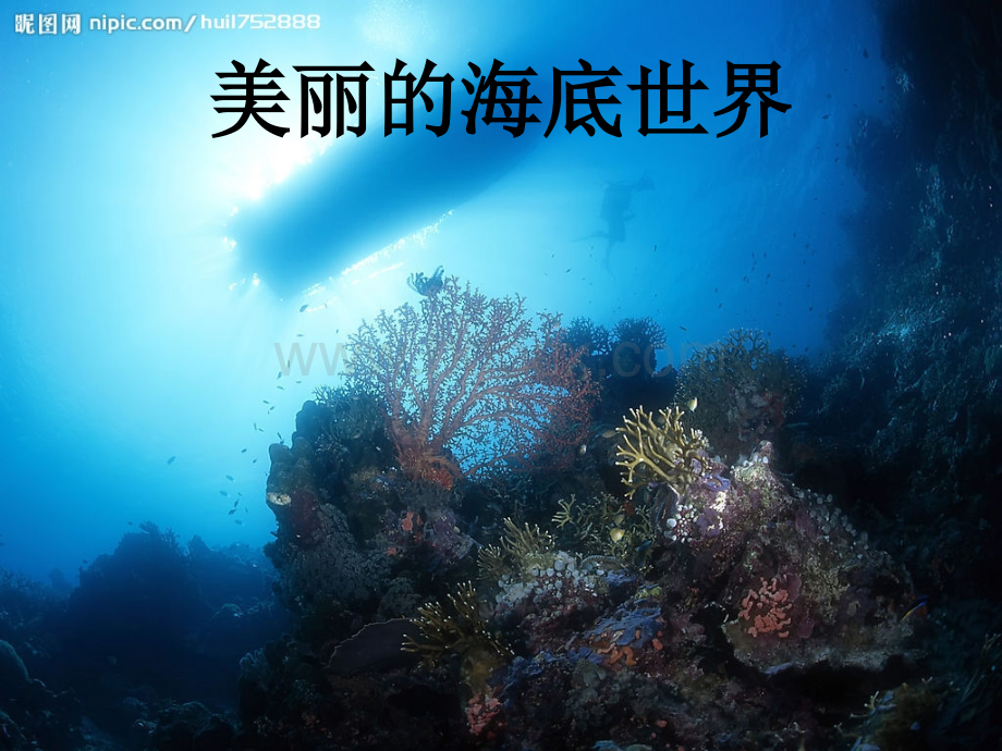 海底世界数数.ppt_第1页