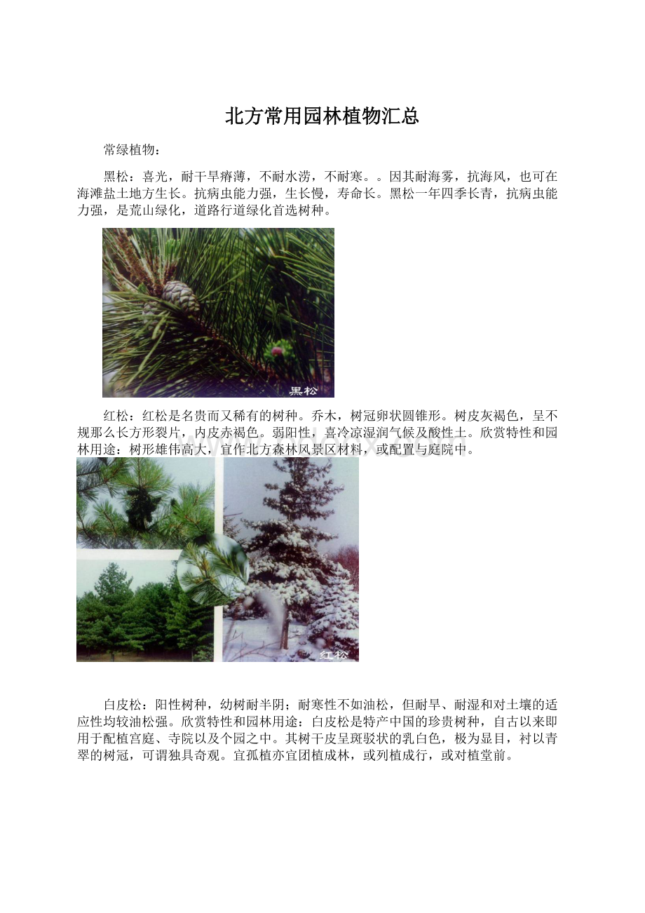 北方常用园林植物汇总.docx_第1页