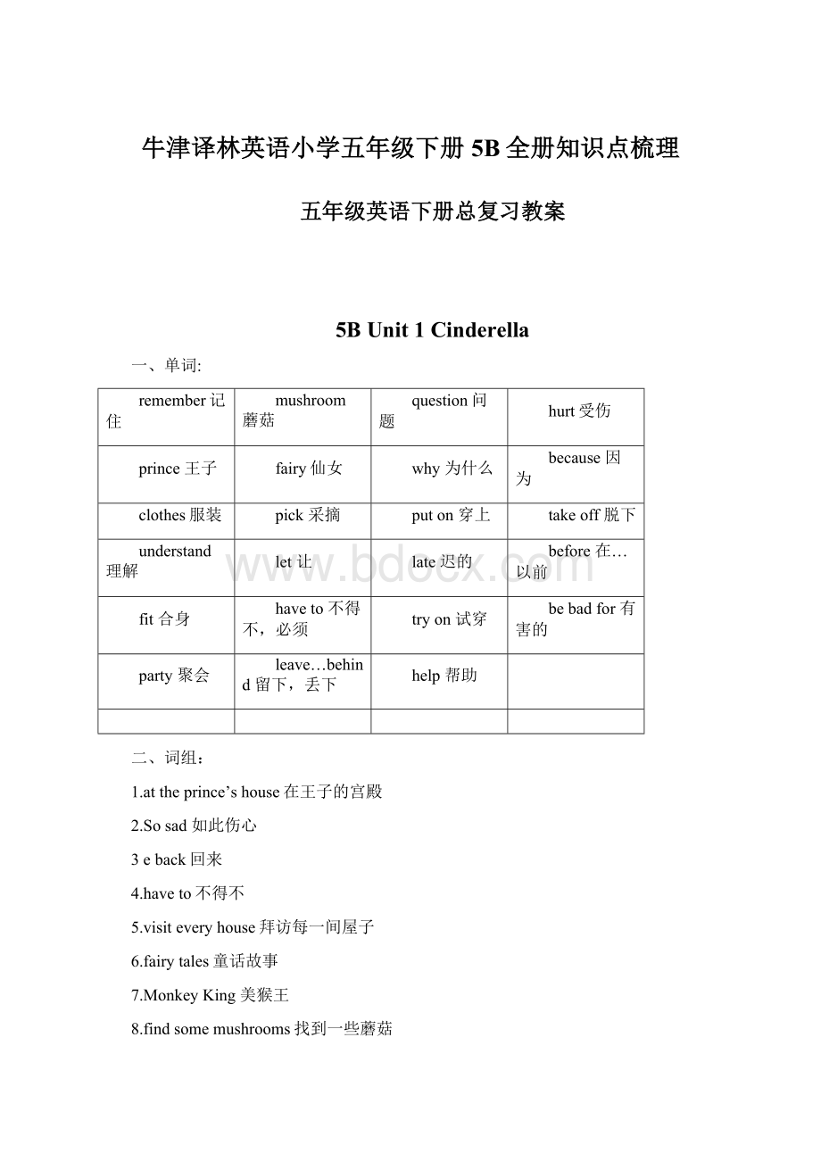 牛津译林英语小学五年级下册5B全册知识点梳理.docx