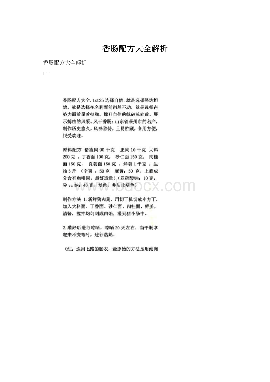 香肠配方大全解析Word文档下载推荐.docx