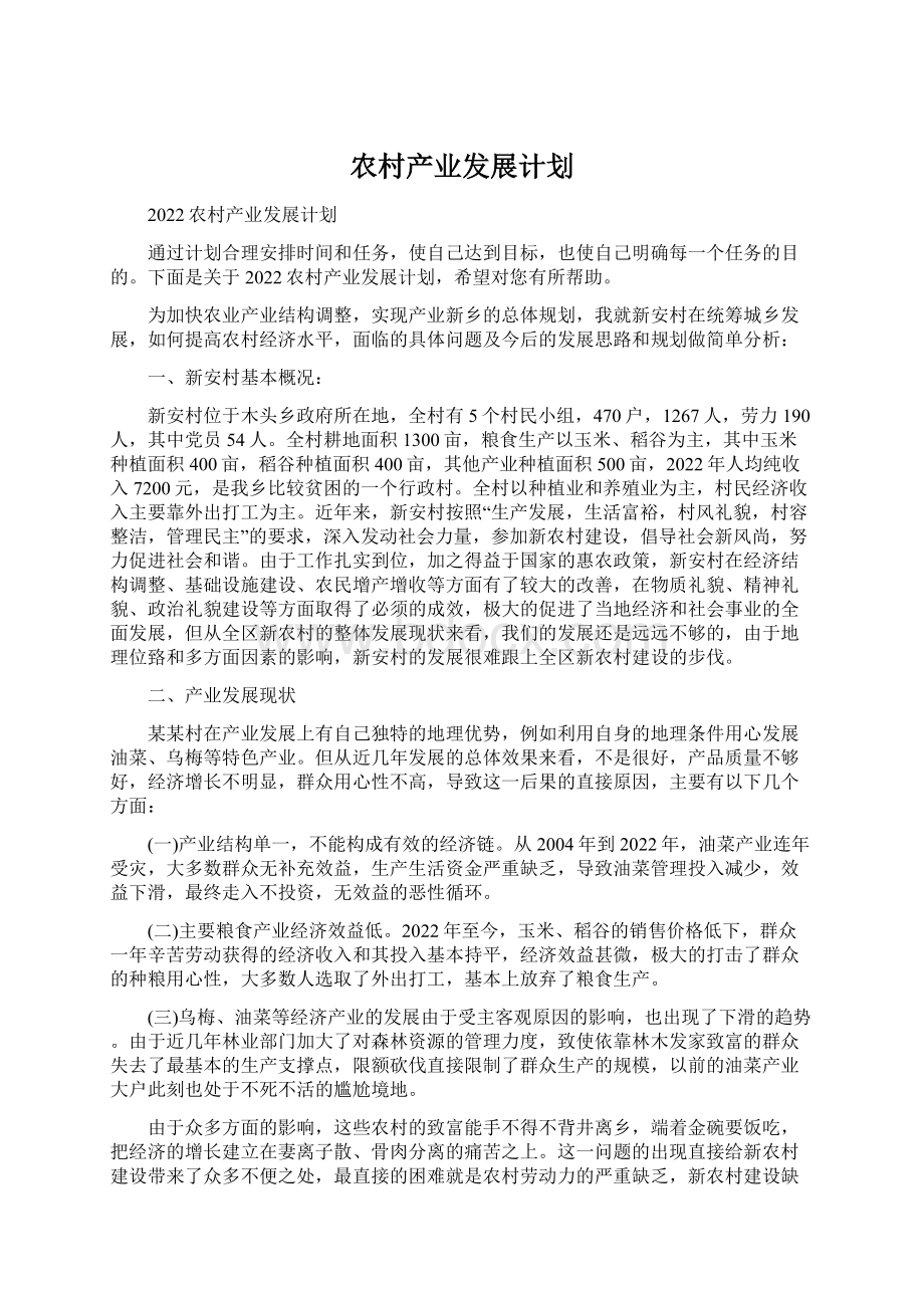 农村产业发展计划Word格式文档下载.docx