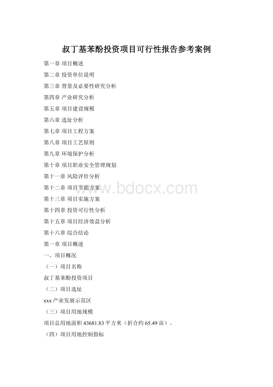 叔丁基苯酚投资项目可行性报告参考案例文档格式.docx_第1页