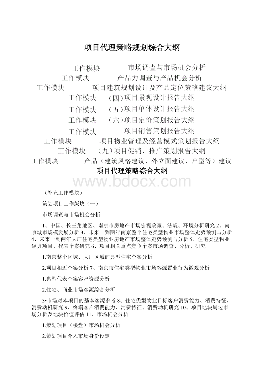 项目代理策略规划综合大纲.docx_第1页