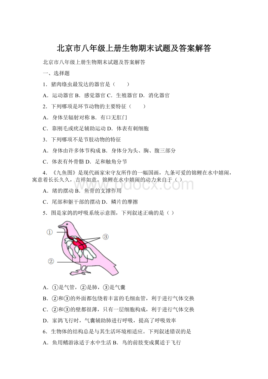 北京市八年级上册生物期末试题及答案解答Word文档格式.docx_第1页