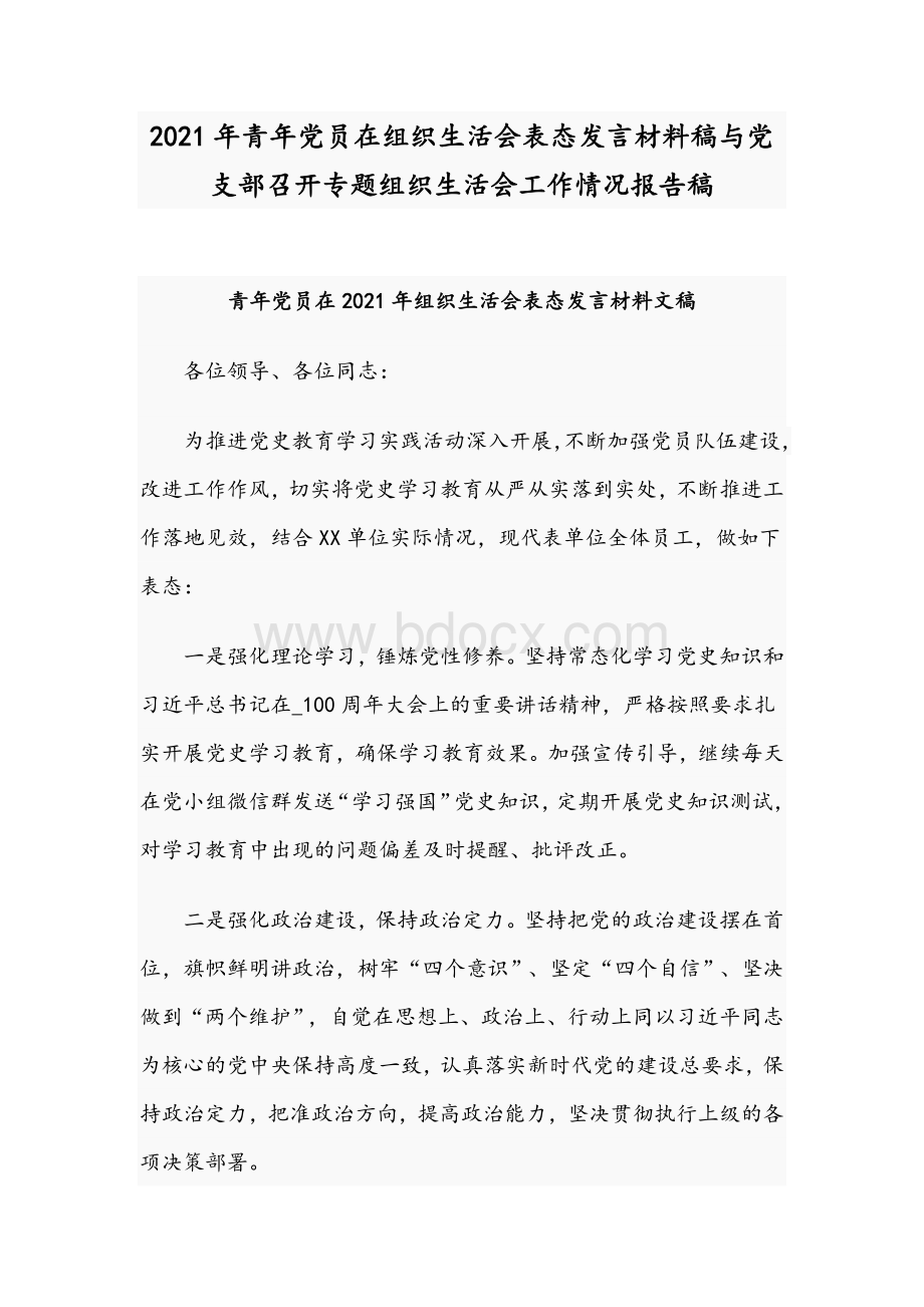 2021年青年党员在组织生活会表态发言材料稿与党支部召开专题组织生活会工作情况报告稿.docx