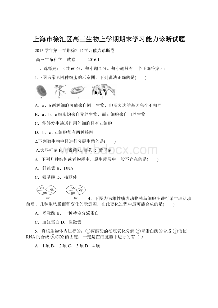 上海市徐汇区高三生物上学期期末学习能力诊断试题.docx