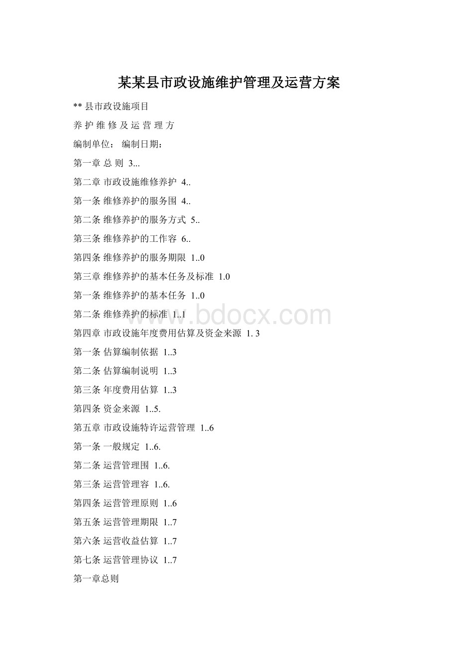 某某县市政设施维护管理及运营方案Word格式.docx_第1页