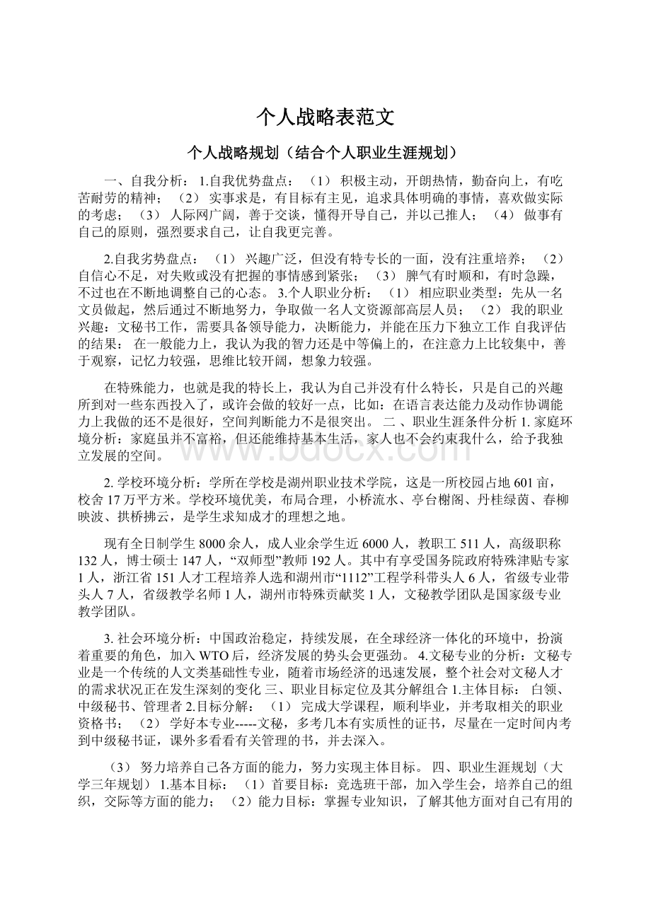 个人战略表范文Word格式文档下载.docx