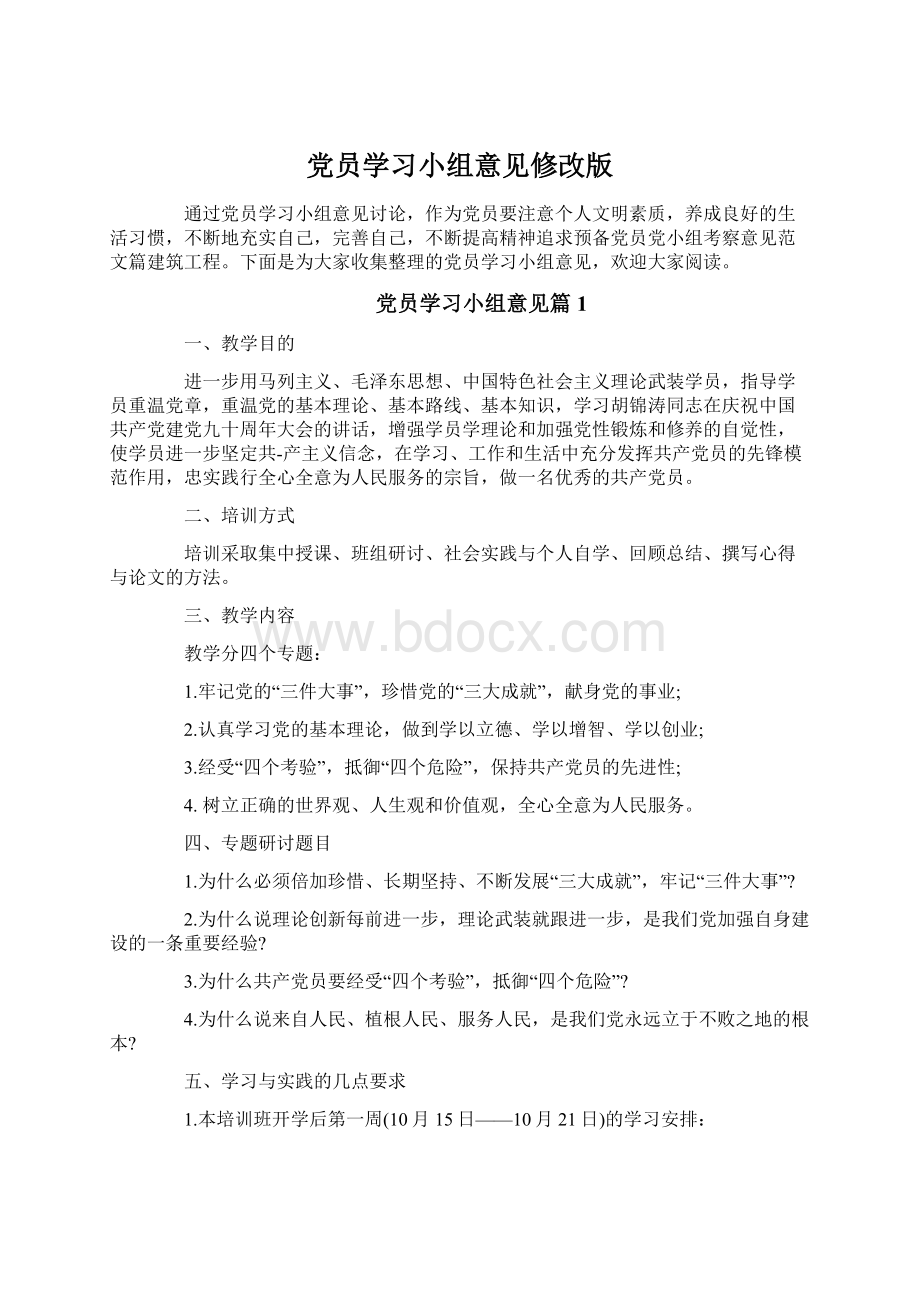 党员学习小组意见修改版Word格式.docx