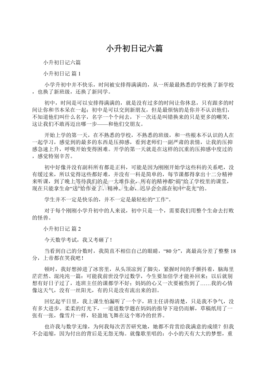 小升初日记六篇文档格式.docx