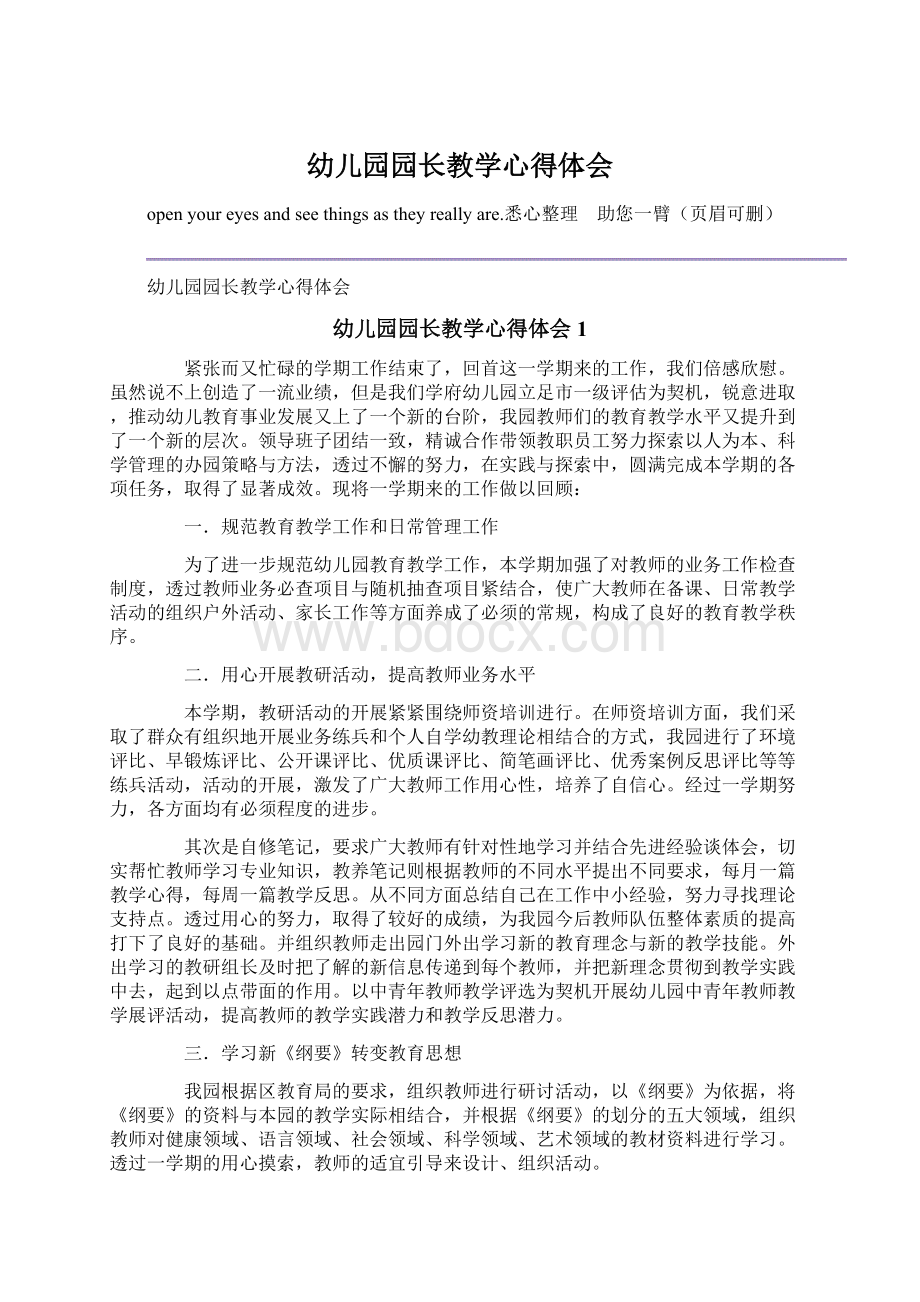 幼儿园园长教学心得体会Word文档格式.docx_第1页