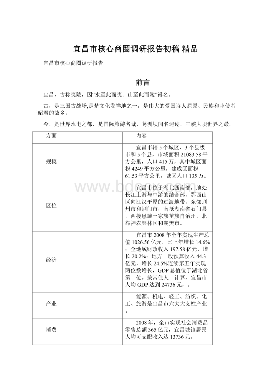 宜昌市核心商圈调研报告初稿 精品.docx_第1页