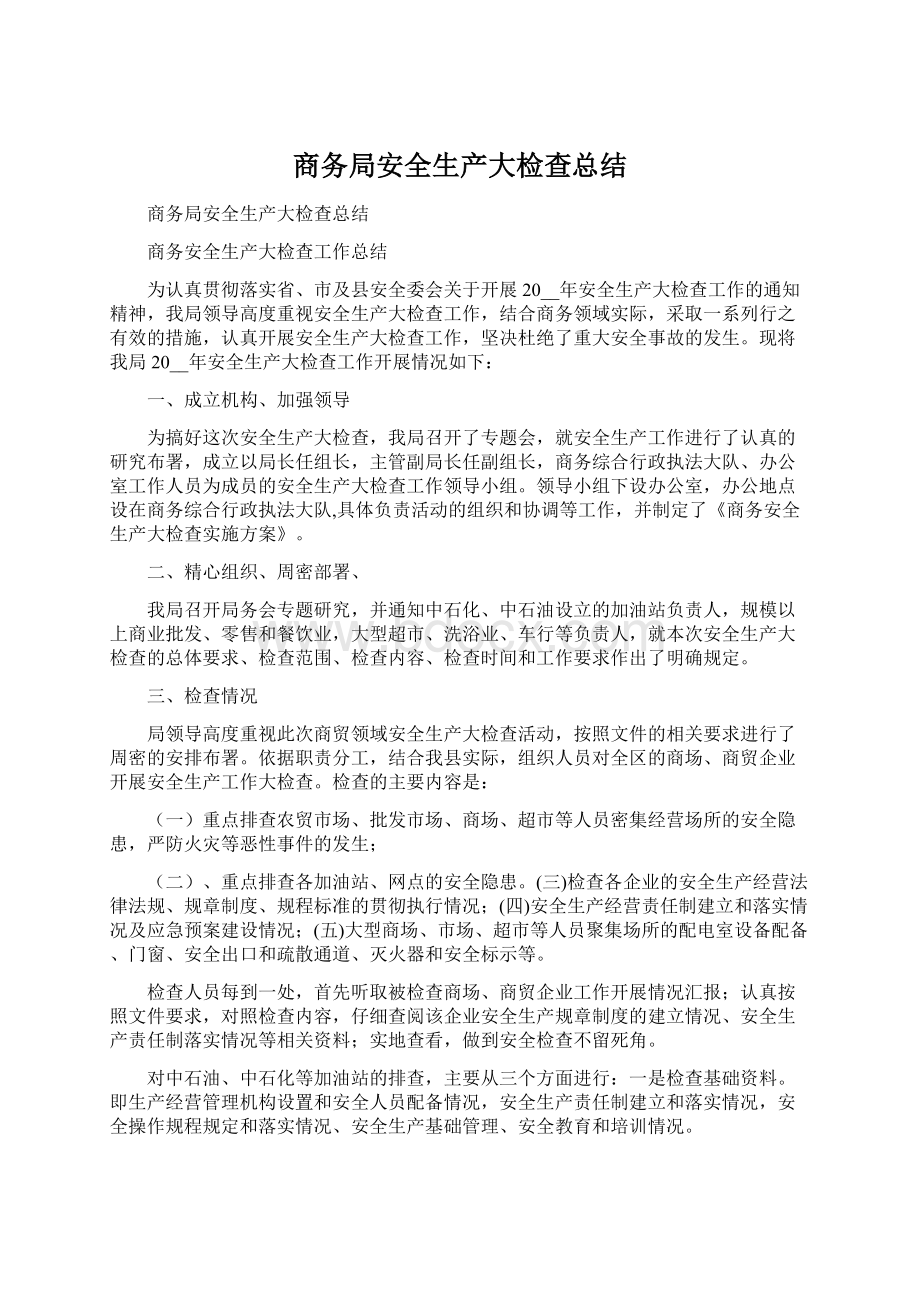 商务局安全生产大检查总结文档格式.docx_第1页