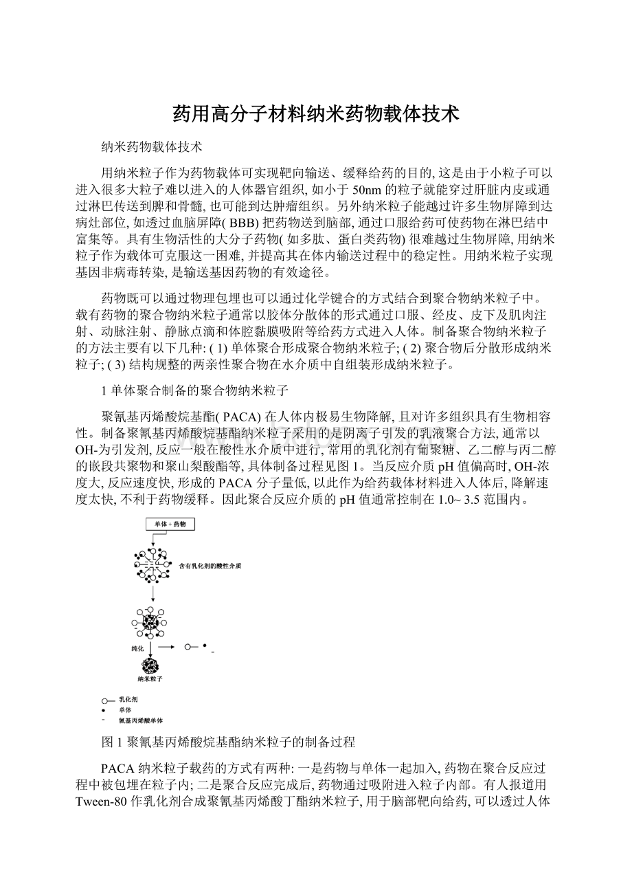 药用高分子材料纳米药物载体技术.docx_第1页