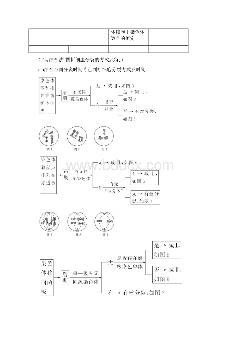 高三生物一轮复习考点加强训练减数分裂与有丝分裂及遗传变异的综合.docx_第2页