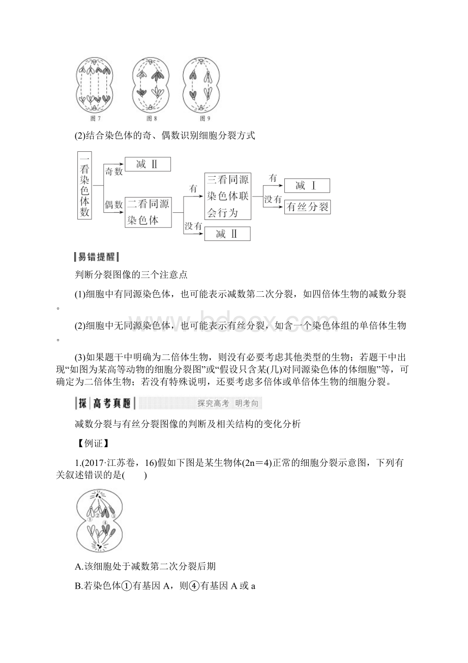 高三生物一轮复习考点加强训练减数分裂与有丝分裂及遗传变异的综合Word格式文档下载.docx_第3页