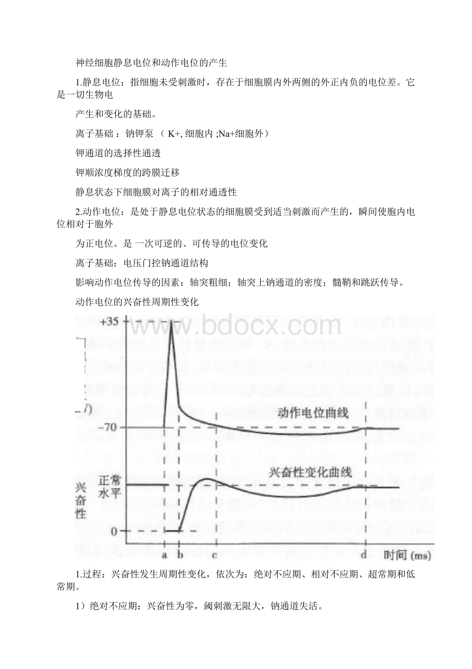 神经生物学考试重点.docx_第3页