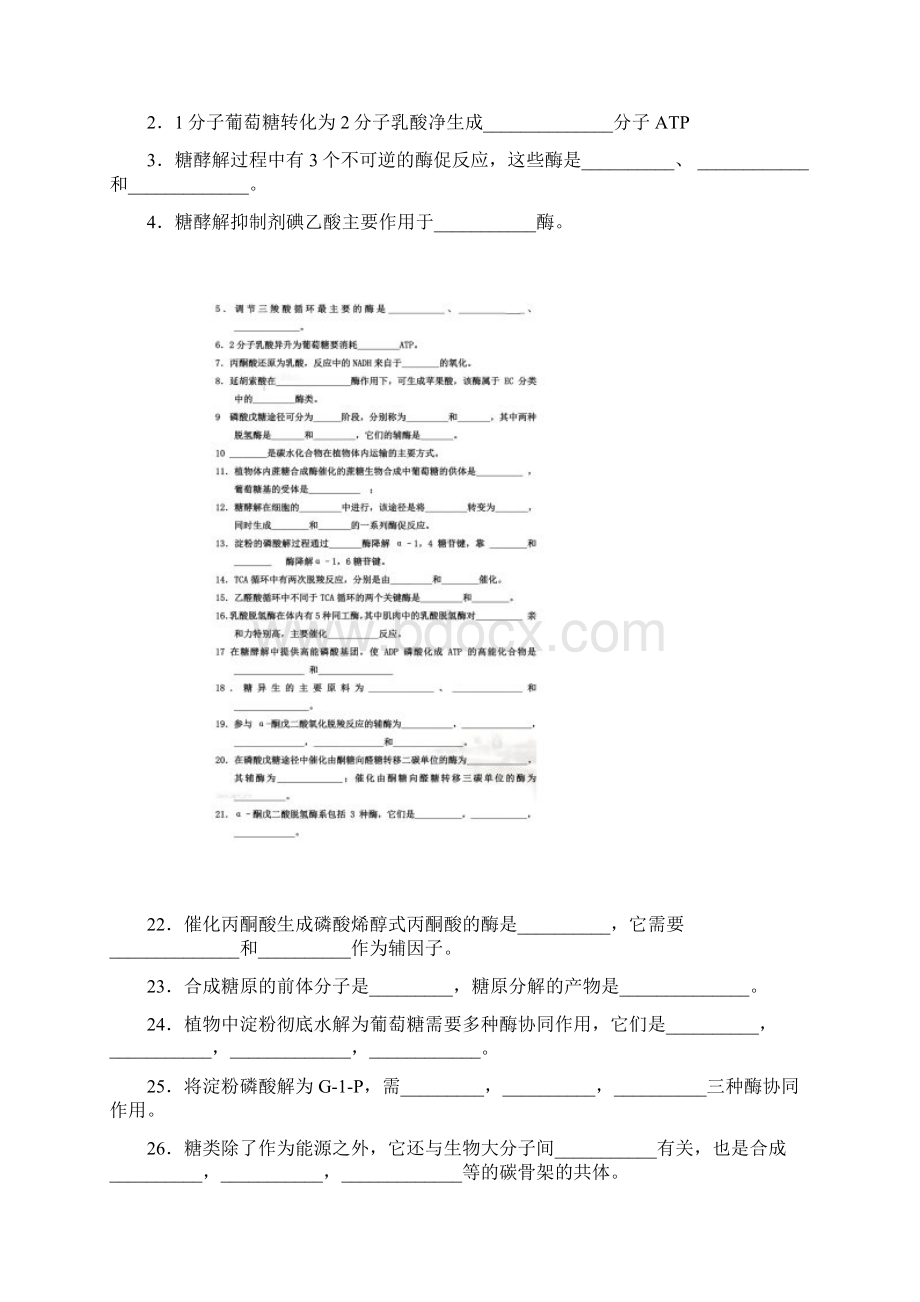 生物化学习题及答案糖代谢.docx_第2页