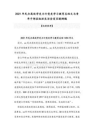 2021年民办高校学史力行党史学习教育总结文与青年干部在组织生活会发言提纲稿Word文档格式.docx