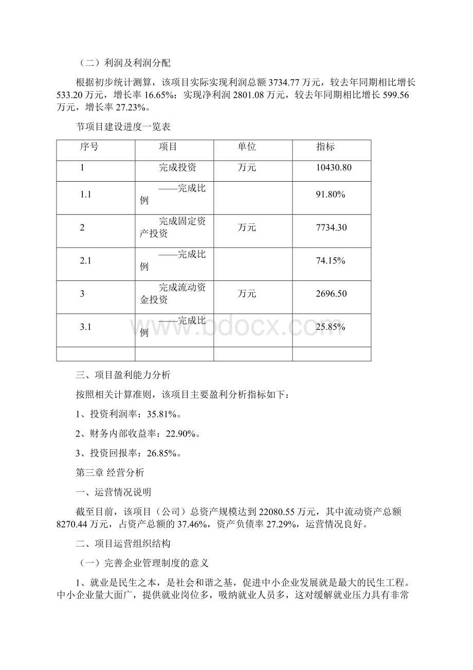 哑铃项目总结分析报告.docx_第3页