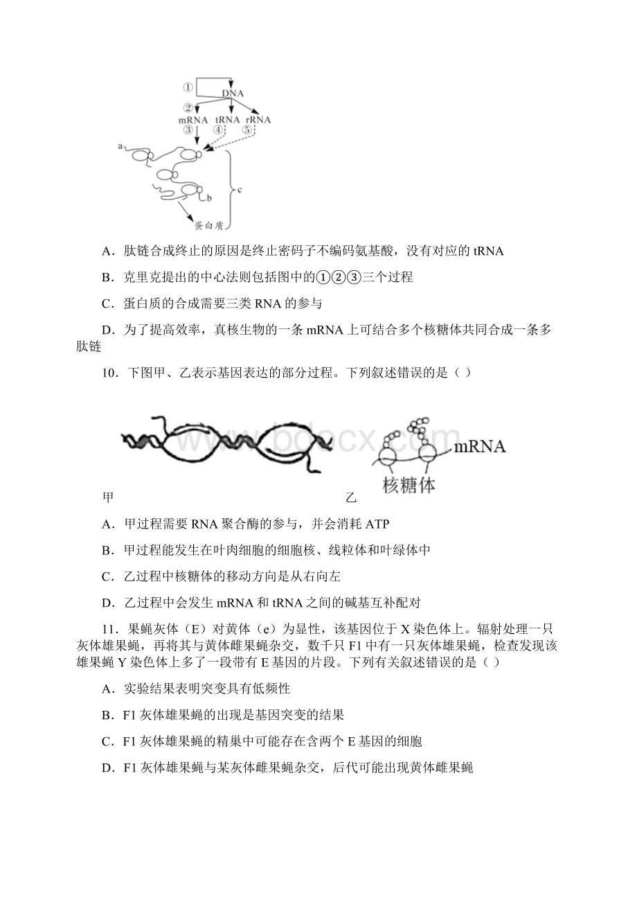 湖北省仙桃市天门市潜江市学年高一下学期期末生物试题含答案解析Word下载.docx_第3页