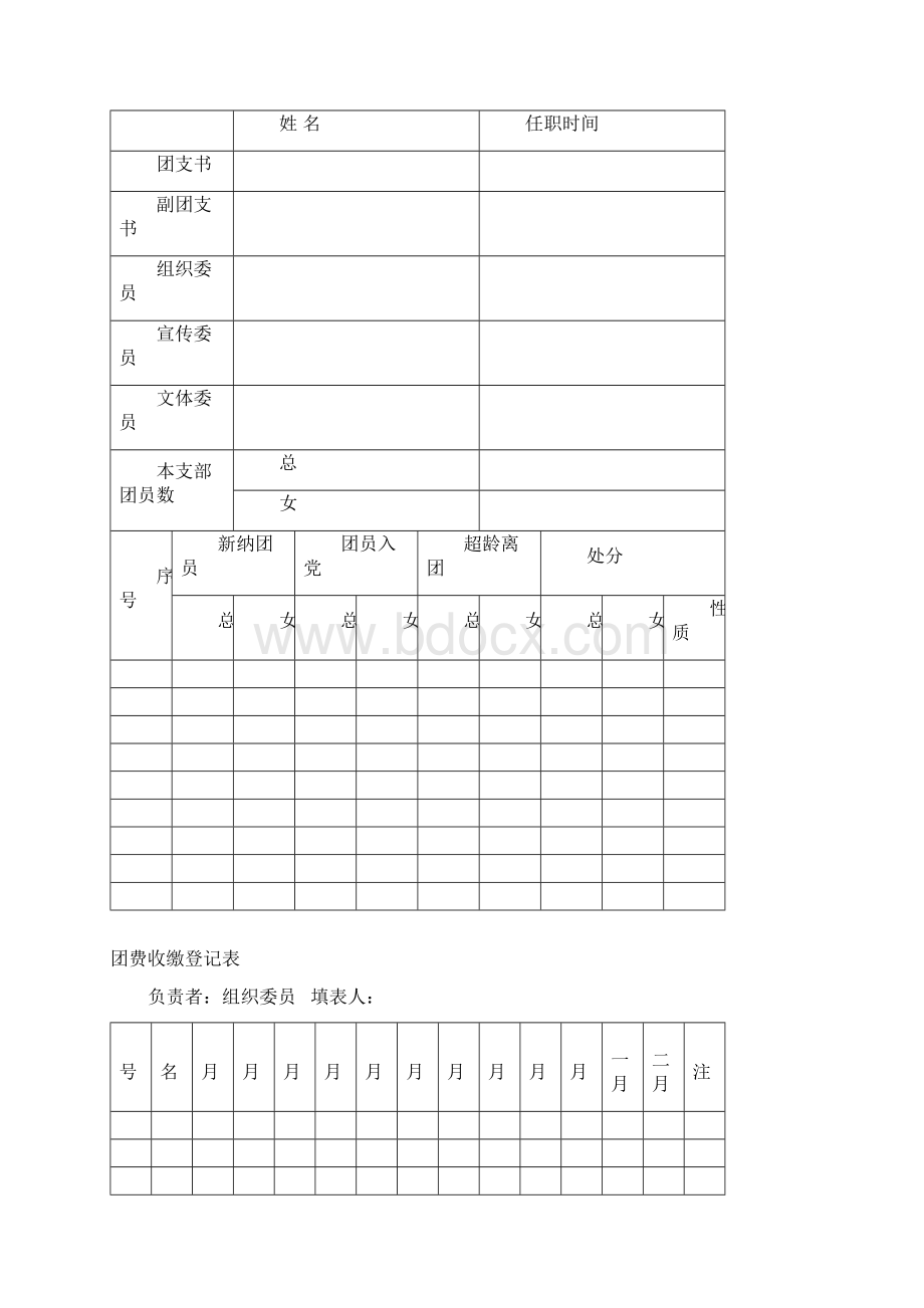 团支部工作台帐Word文档下载推荐.docx_第2页