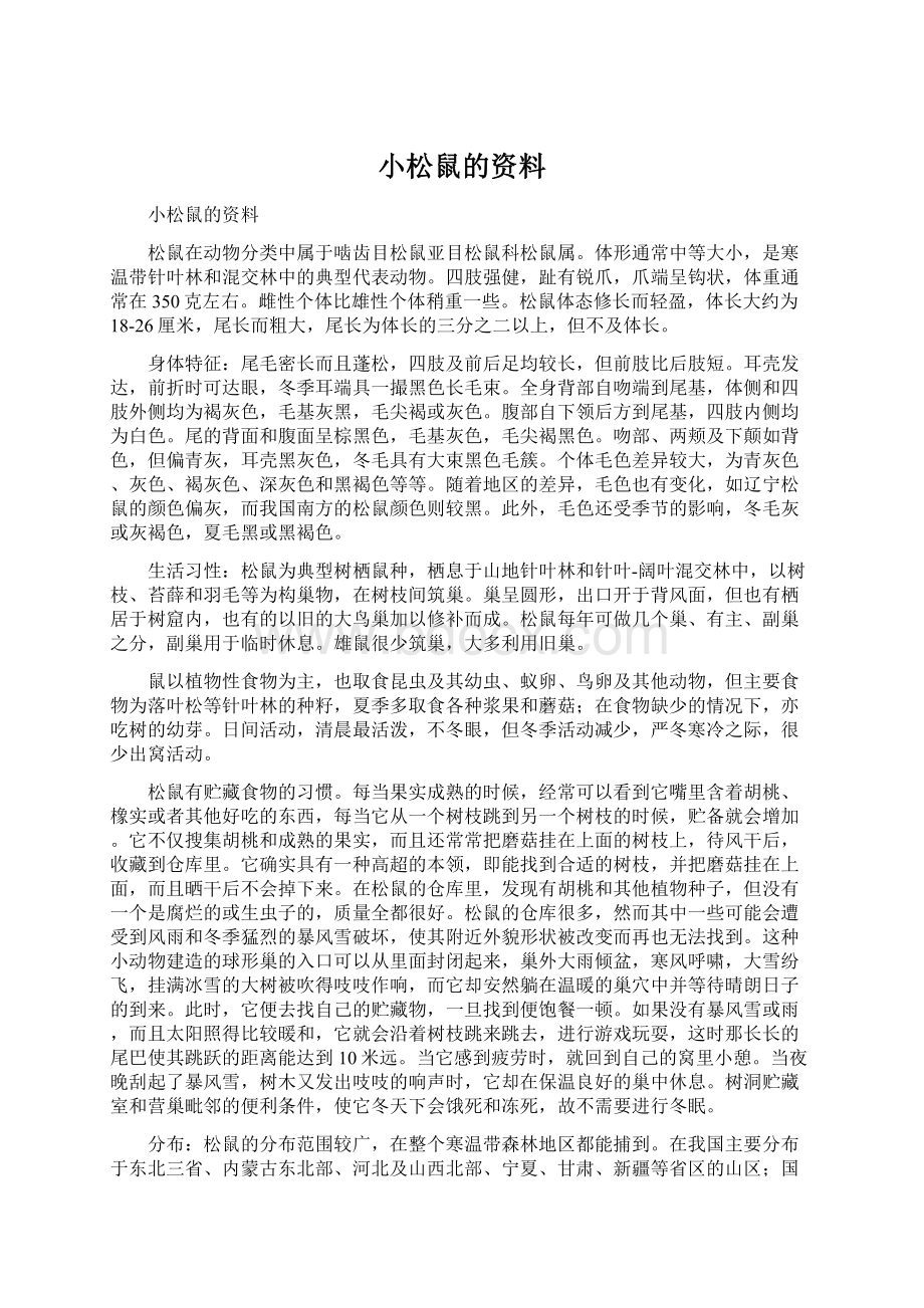 小松鼠的资料.docx