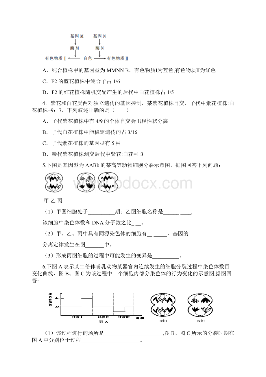 完整遗传专题训练带答案解析Word文档下载推荐.docx_第2页