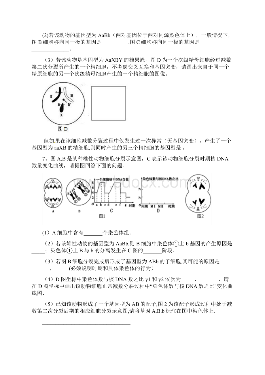 完整遗传专题训练带答案解析Word文档下载推荐.docx_第3页