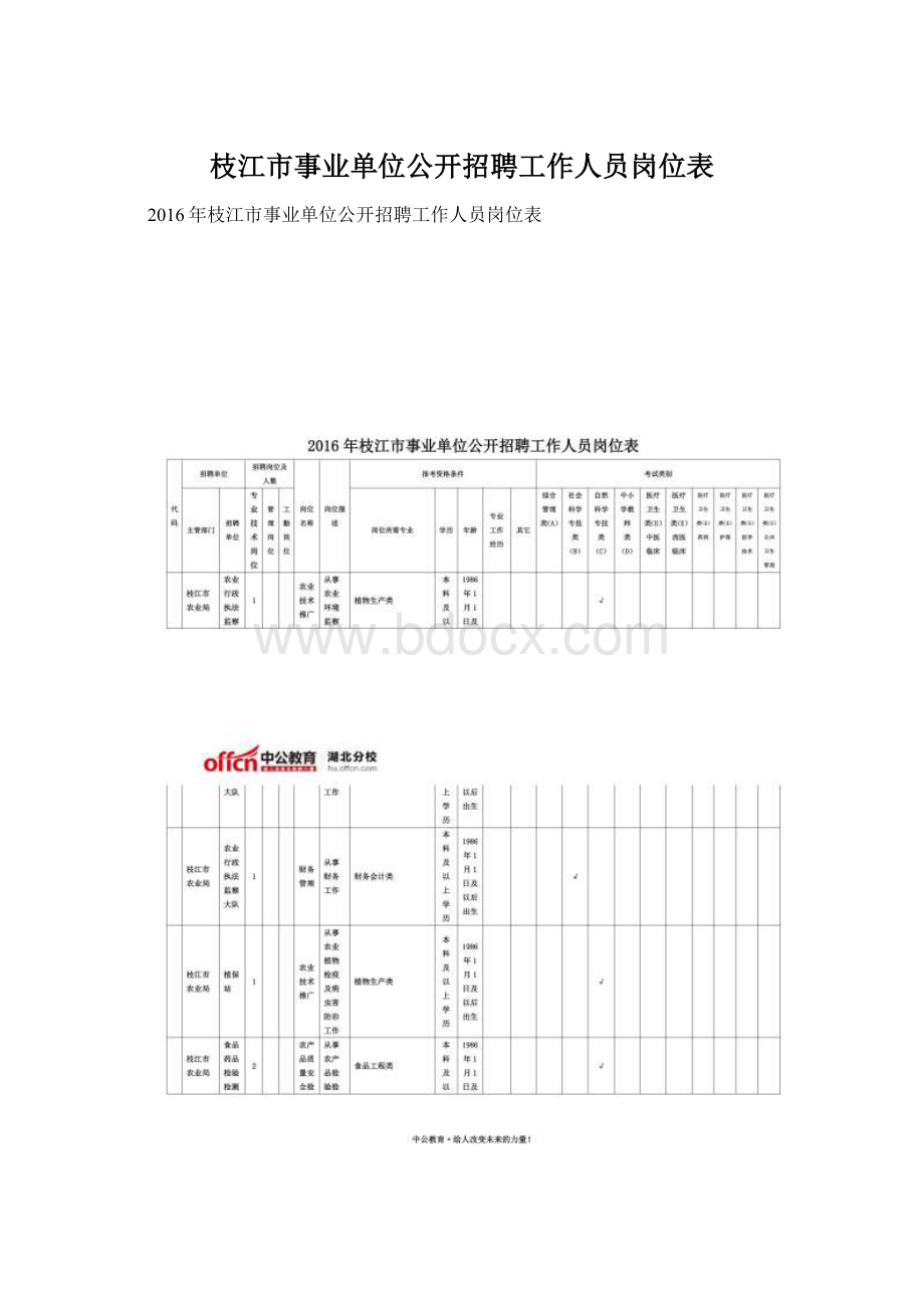 枝江市事业单位公开招聘工作人员岗位表.docx_第1页