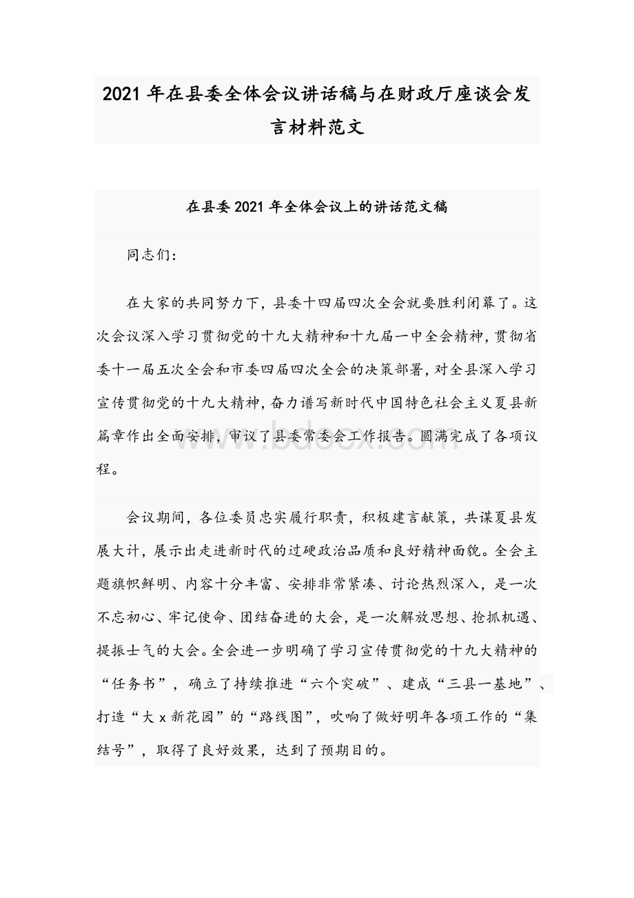 2021年在县委全体会议讲话稿与在财政厅座谈会发言材料范文文档格式.docx