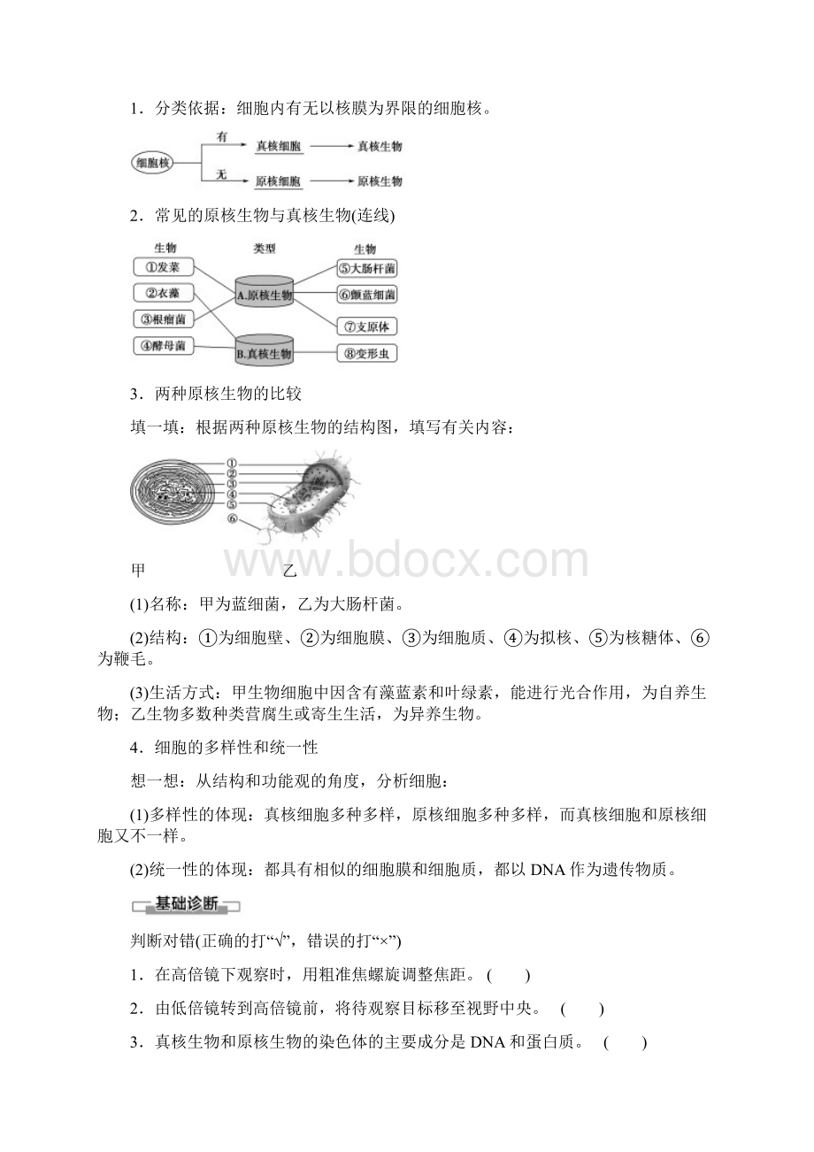 新教材人教版生物必修1学案第1章第2节细胞的多样性和统一性含答案Word文档下载推荐.docx_第2页