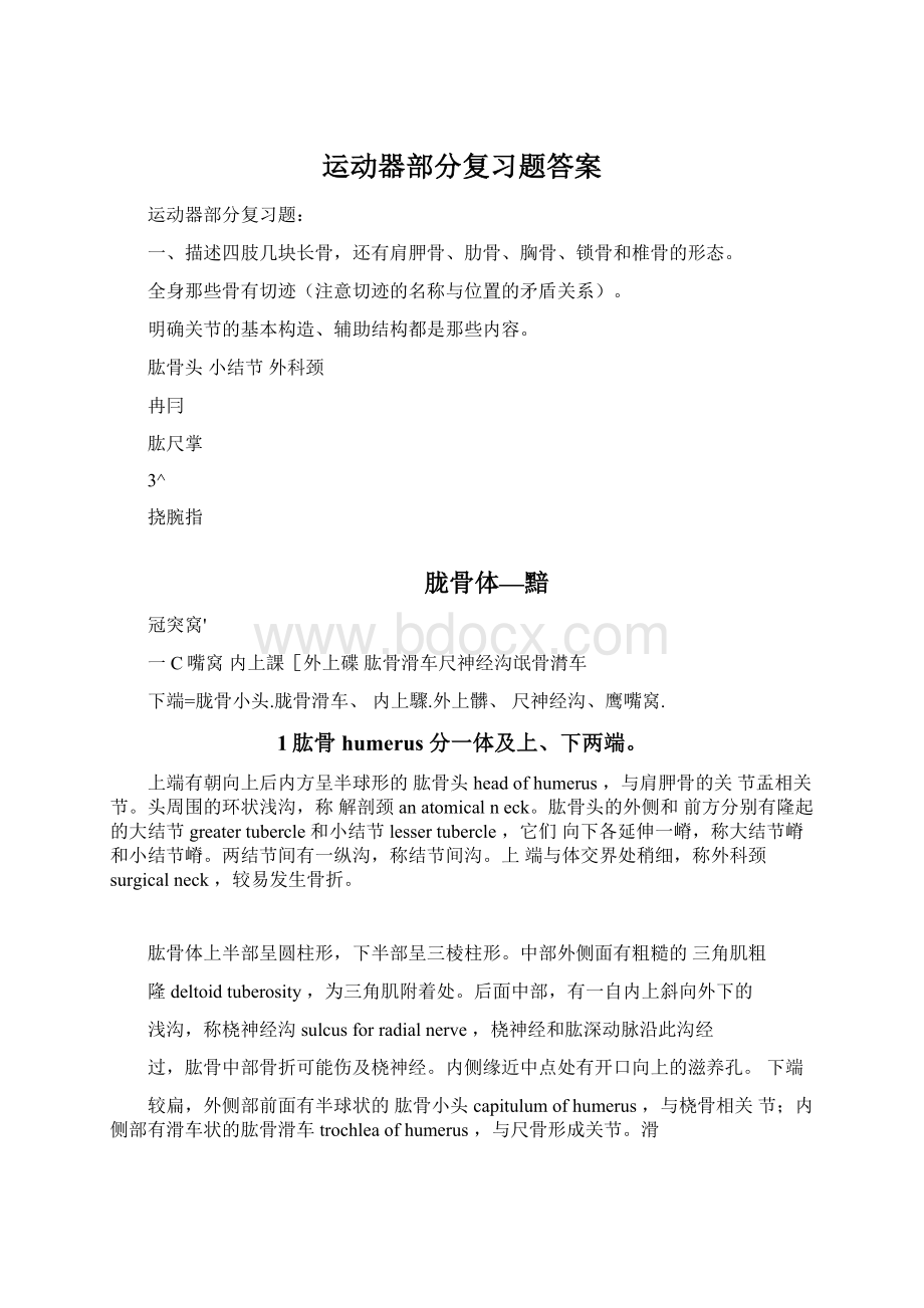 运动器部分复习题答案Word格式.docx_第1页