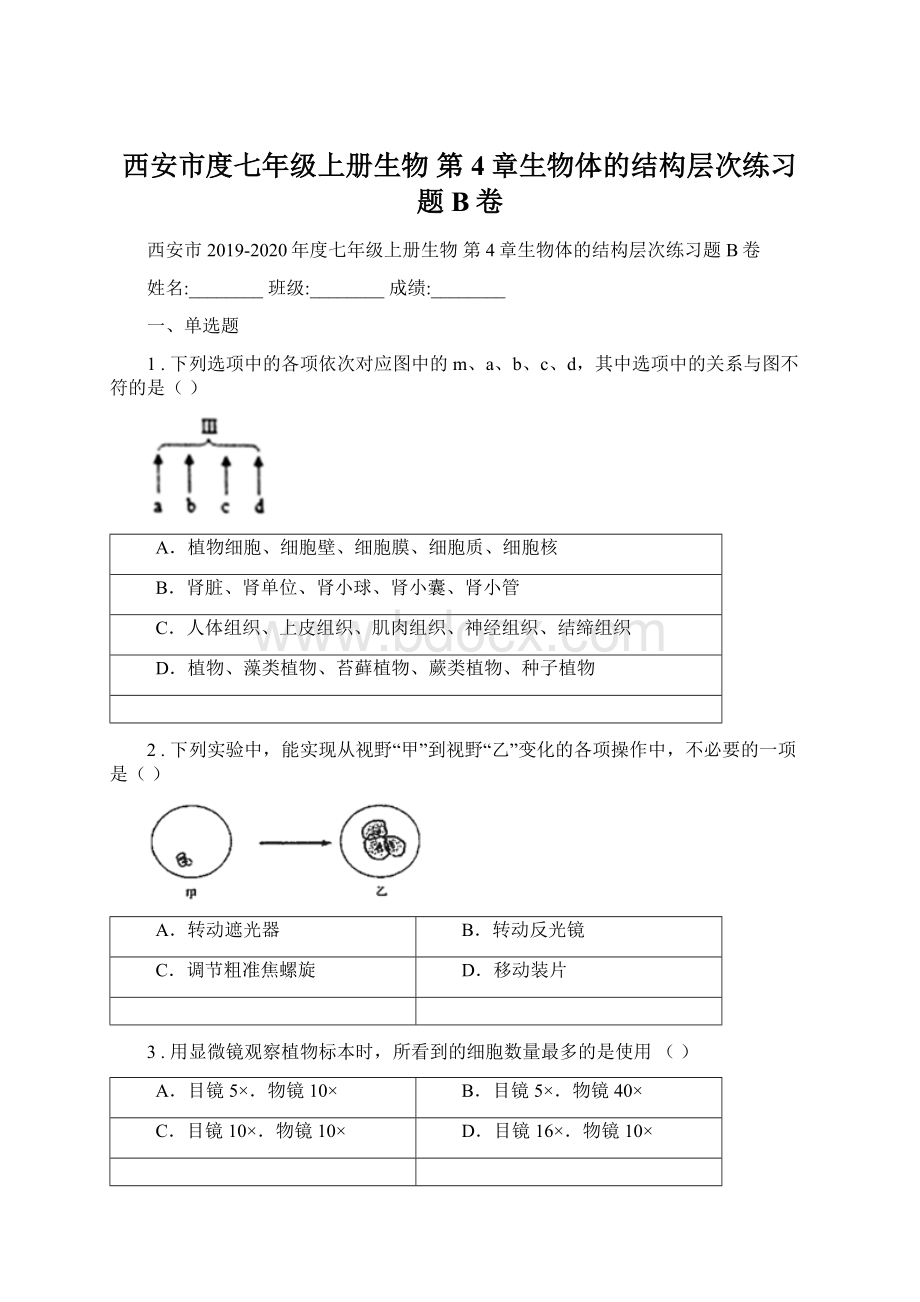 西安市度七年级上册生物 第4章生物体的结构层次练习题B卷.docx