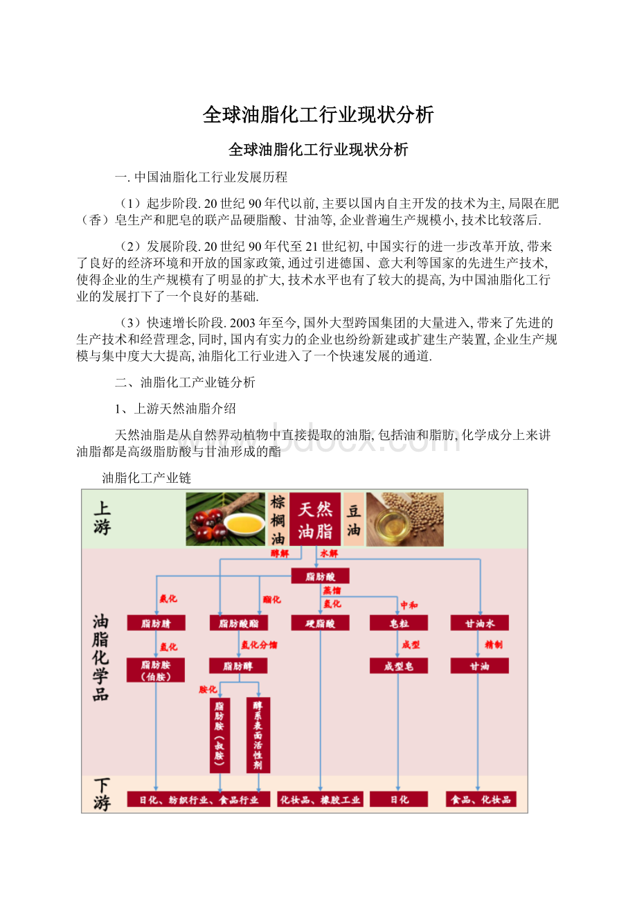 全球油脂化工行业现状分析Word下载.docx