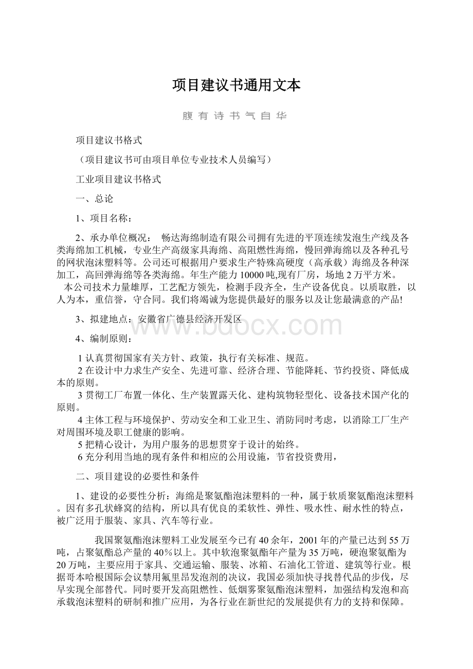 项目建议书通用文本Word格式.docx